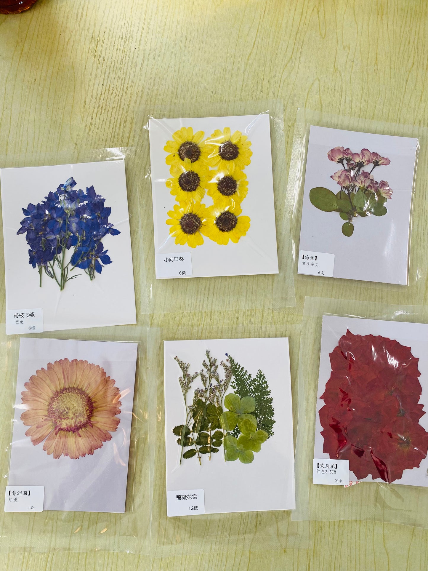 Not match game-----Dry flowers :)