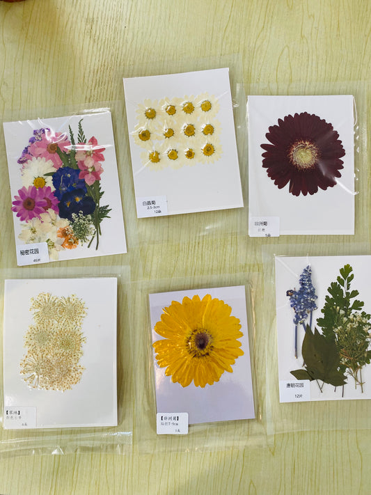Not match game-----Dry flowers :)